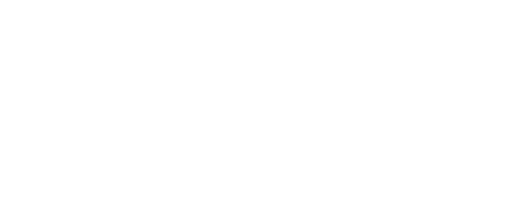LAPSO logo in white